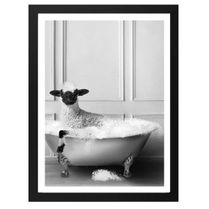 PicturePicture_Sheep